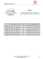 BSP αρσενικό δακτύλιο O-περιστρεφόμενου κώνου BSP