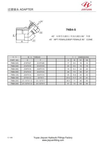Θηλυκό NPT περιστρεφόμενο BSP 45