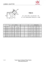 Θηλυκό NPT περιστρεφόμενο BSP 45